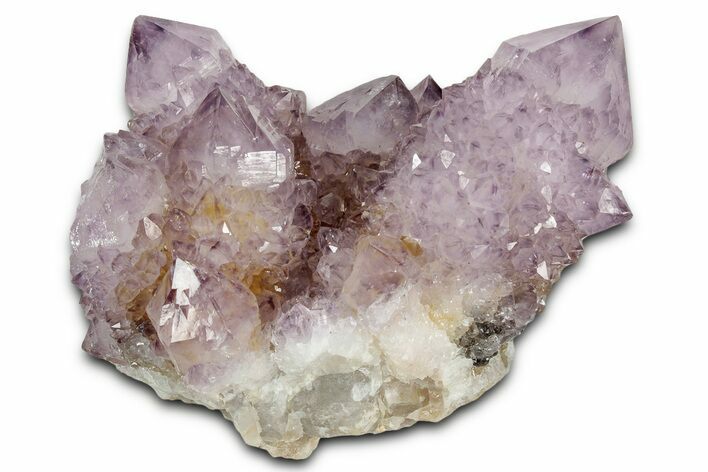 Deep-Purple Cactus Amethyst Crystal Cluster - South Africa #337617